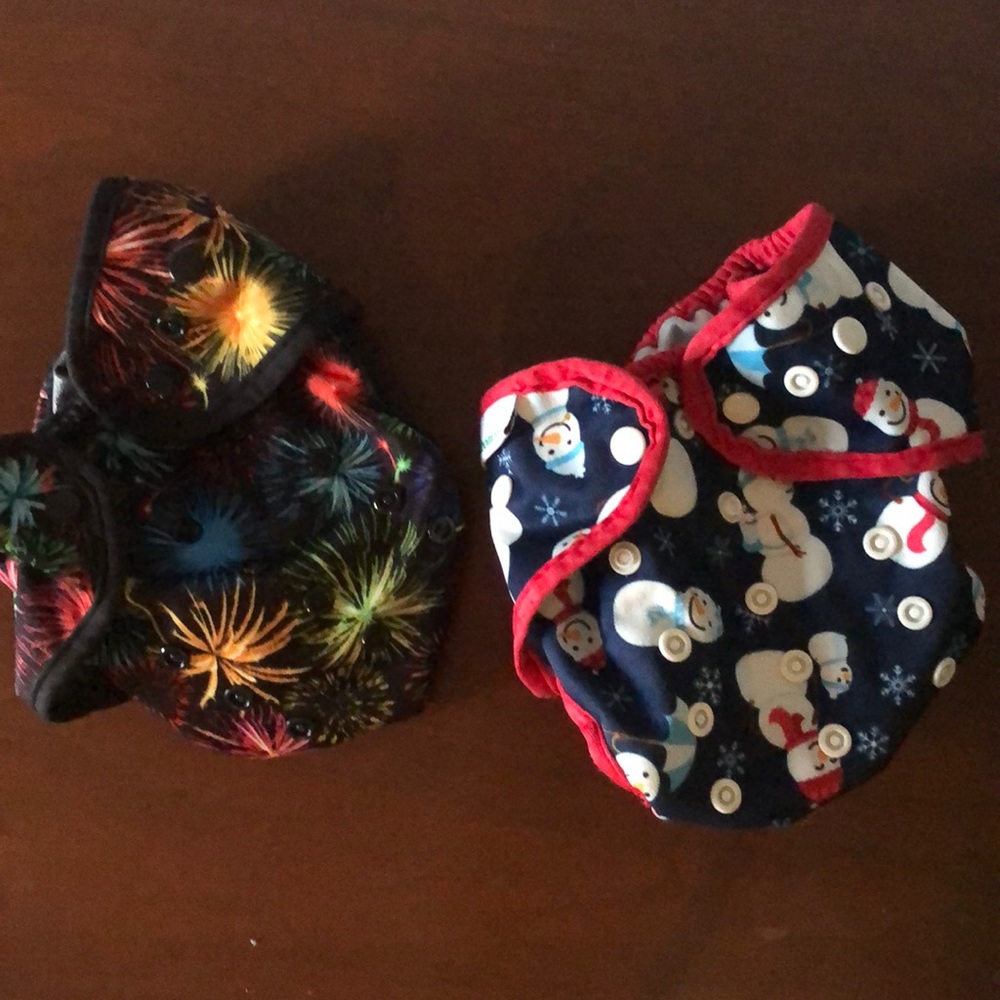 Best Bottom Holiday Lot of 2 Cloth Diaper Covers